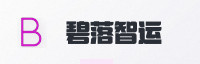 合作伙伴